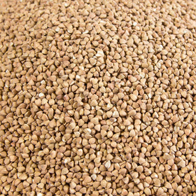 Buckwheat Kernels Roasted
