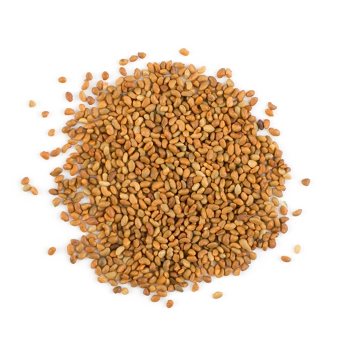 Alfalfa Seeds - 1kg