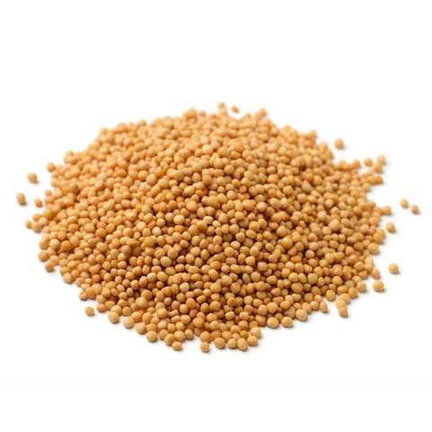 Mustard Seeds Yellow - 1kg