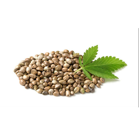 Hemp Seeds - 1kg