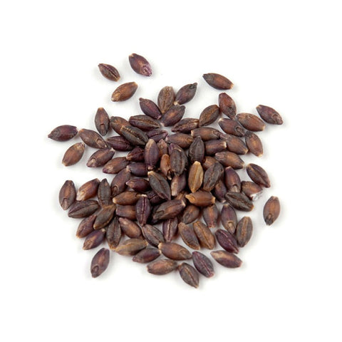 Black Barley - 1kg
