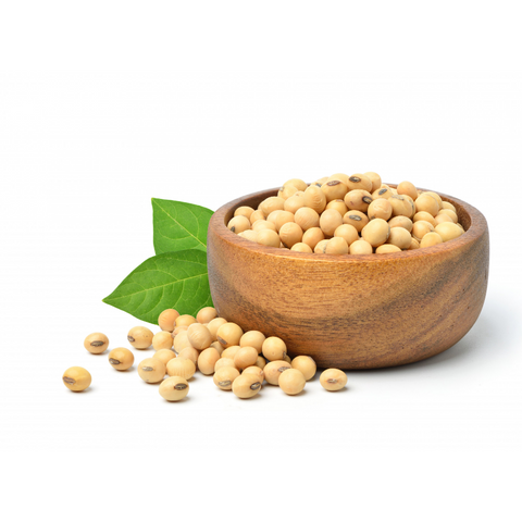 Beans
