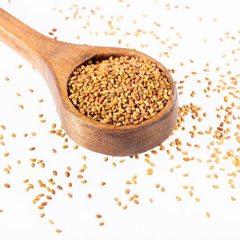 Alfalfa Seeds - 250g