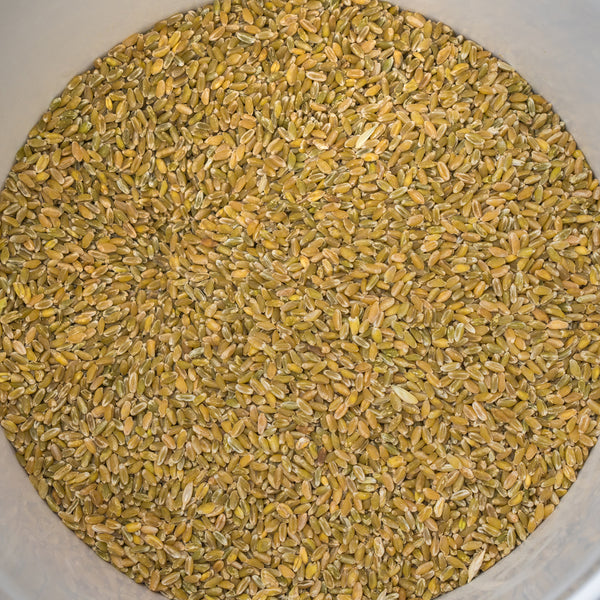 Freekeh (Green Wheat) at Border Just Foods Albury Wodonga