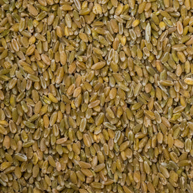 Freekeh (Green Wheat)
