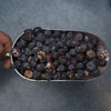 Freeze Dried Blueberries at Border Just Foods Albury Wodonga