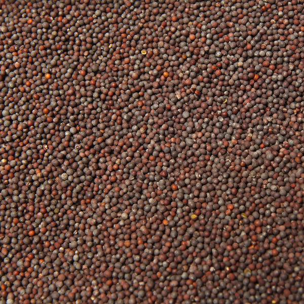 Mustard Seeds (Brown) at Border Just Foods Albury Wodonga