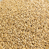 Organic Wheat Grain at Border Just Foods Albury Wodonga