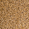 Wheat Grain at Border Just Foods Albury Wodonga