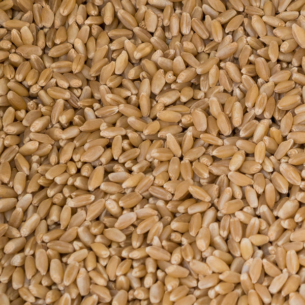 Wheat Grain at Border Just Foods Albury Wodonga
